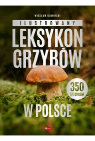 Ilustrowany leksykon grzyb�w w Polsce