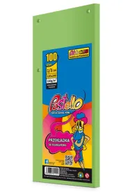 Pastello Przek�adka do segregatora 1/3 A4 100K IT130 ziel