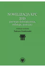Nowelizacja KPC 2019 - pierwsze do�wiadczenia, refleksje i postulaty