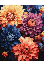 Ideyka Malowanie po numerach - Kolorowe dalie 40x50cm