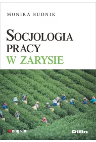 Socjologia pracy w zarysie