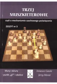 TRZEJ MUSZKIETEROWIE MURY I DZIURY PUNKT G7