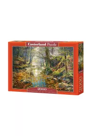 Puzzle 2000 el. Wspomnienie z jesiennego lasu Castorland