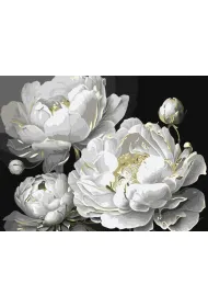 Ideyka Malowanie po numerach - Pi�kno 30x40cm