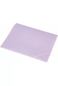 Panta Plast Teczka A4 Focus z gumk� transparentna