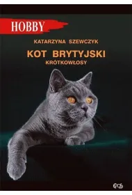 Kot brytyjski kr�tkow�osy