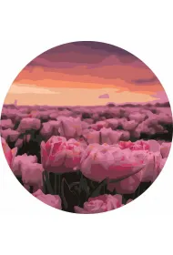 Twoje Hobby Malowanie po numerach okr�g�e - Pole tulipan�w 40cm