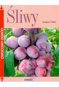 �liwy