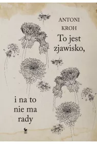 To jest zjawisko, i na to nie ma rady