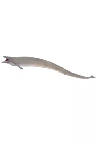 Dinozaur Bazylozaur
