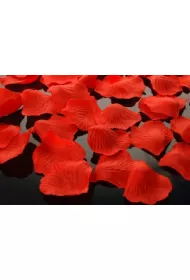 PartyDeco P�atki r� w woreczku czerwone