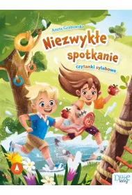 Niezwyke spotkanie. Czytanki sylabowe