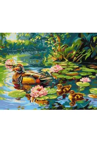 Ideyka Malowanie po numerach - Kacza rodzina 40x50cm