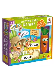 Weso�a farma Windowbox Lisciani