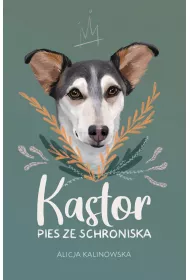 Kastor. Pies ze schroniska