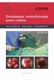 Endoskopia i endochirurgia psw i kotw