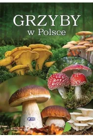 Grzyby w Polsce