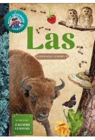 Mody Obserwator Przyrody - Las