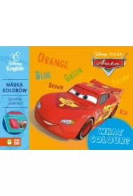 Sprytne okienka What colour? Disney English