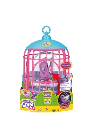 wierkajco-mwicy ptaszek z klatk. Little Live Pets