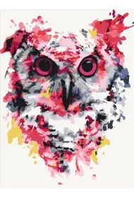 Brushme Malowanie po numerach - Sowa w kolorach 40x50cm