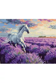 Ideyka Malowanie po numerach - W lawendowych polach 40x50cm