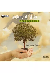 Przebudzenie audiobook CD