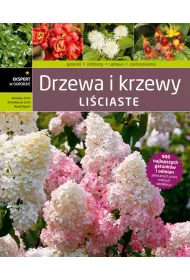 Drzewa i krzewy li�ciaste