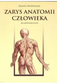 Zarys anatomii cz�owieka