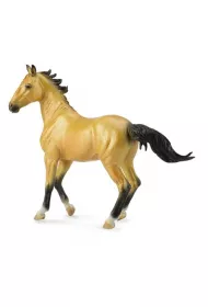 Klacz Akhal Teke Buckskin