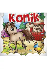 Konik. Sztywniaczek
