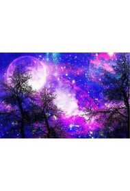 Norimpex Malowanie po numerach. Niebo noc 1006996 40 x 50 cm