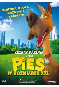 Pies w rozmiarze XXL DVD