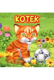 Kotek JAFI