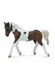 Collecta. Klacz rasy Bashkir Curly