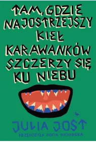 Tam, gdzie najostrzejszy kie� Karawank�w szczerzy si� ku niebu