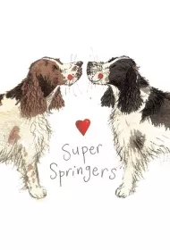 Magnes FM02 Springer spaniel
