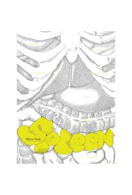 Spleen