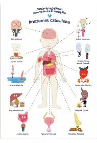 Plakat edukacyjny anatomia czowieka dla dziecka format A2