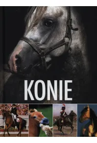 Konie (OT)