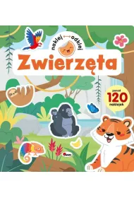 KSIAZECZKA EDUK 240X255 ZWIERZETA NAKL/ODKL AWM