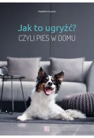 Jak to ugry��? Czyli pies w domu