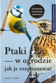 Ptaki w ogrodzie - jak je rozpoznawa�