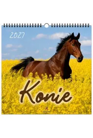 Kalendarz 2027 wieloplanszowy 33x33cm Konie