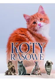 Koty rasowe