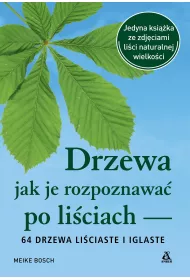 Drzewa - jak je rozpoznawa po liciach