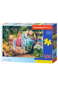 Puzzle 100 el. Sekretny szlak Castorland