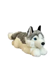 Pies Husky 42cm Dubi Plusz