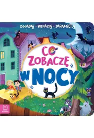 CO ZOBACZ� W NOCY. OGL�DAJ, WSKAZUJ, ZAPAMI�TUJ