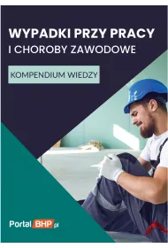 eBook Wypadki przy pracy i choroby zawodowe. Kompendium wiedzy pdf mobi epub